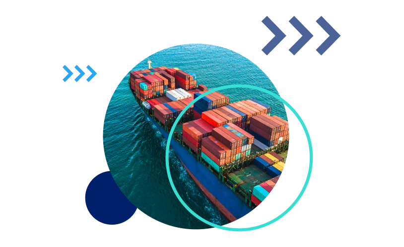 Freightos digital freight marketplace platform interface showcasing global shipping options